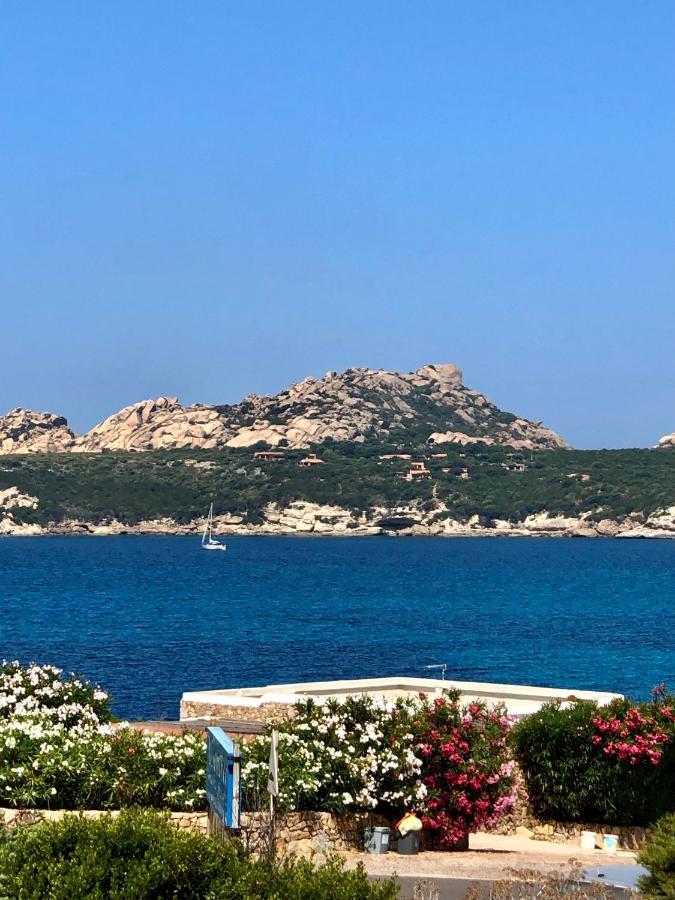 Appartamento Incantevole Con Vista Mare Buoncammino 外观 照片